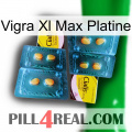 Vigra Xl Max Platinum cialis5